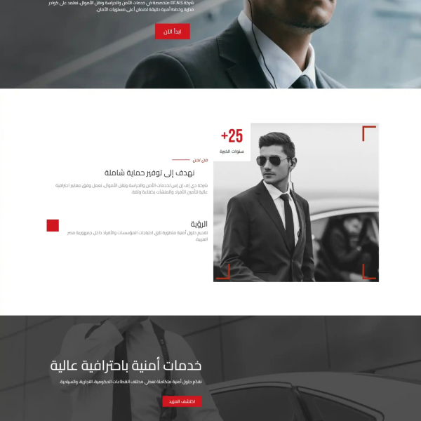 DFNS00 600x600